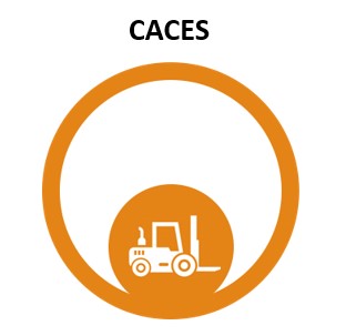 cases